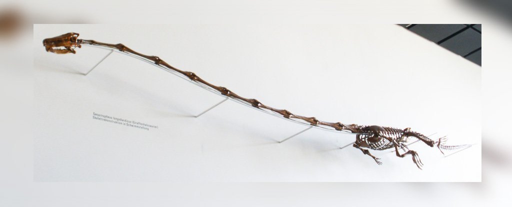 It’s a pterosaur! It’s a giraffe! No, wait, it’s a…trap?